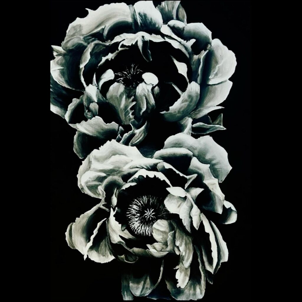 Peinture en noir et blanc de deux pivoines, aux pétales ouverts et dramatiques, sur fond noir.